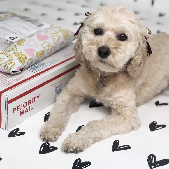 Meet your seller Cindy 🍃 - Picture 2 of 4